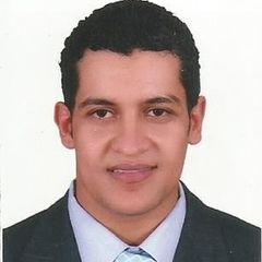 محمد صلاح شعبان عبد الغنى الجندي, construction manager