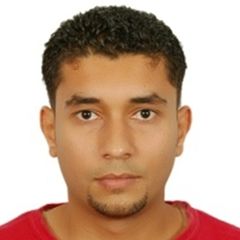 محمد حسين, IT & Telecom Project Manager