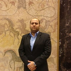 Mohammed Amer, Technical Support Agent