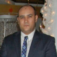 Nagm Elsheshaey, Senior Account Manager
