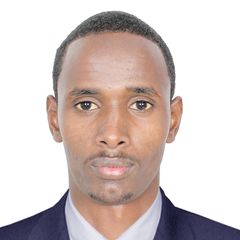 Ahmed Abdilahi, database administrator
