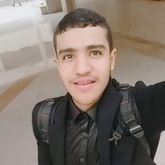 Ahmed Mohamed Moawad Mahmoud