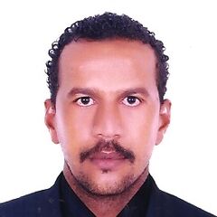 Ala Eldin  Mohamed  Osman