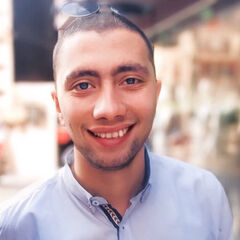 Mohamed Hatem  Elgazar , IT Engineer