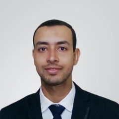 Abdalla Salah, مهندس كيميائى