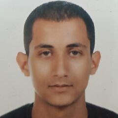 المهدي لهنيت, opérateur logistique au sein de 2WLS