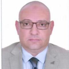 Ayman Ahmed Abdelkader Mehanna Mehanna, Legal & Credit Director