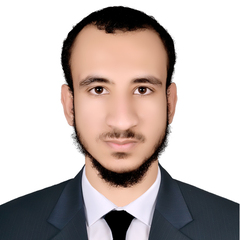 أحمد سيد, محاسب عام