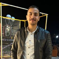 بدر محمد الشربينى