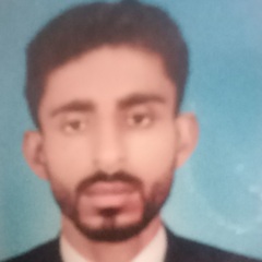 Shahzaib Raja, Management Accountant