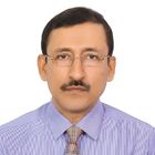 Biswajit Ray, FINANCIAL CONTROLLER (As a CFO)
