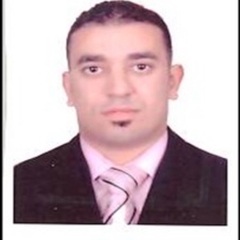 Amr Elmesady, Oracle Developer