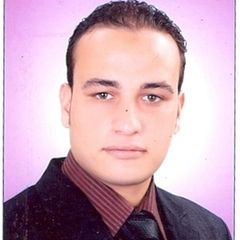 Mohammed Mahmoud Salem elkholy, Accountant