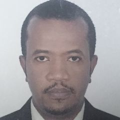 Mohamed Ahmed Hassan, Telecom Engineer