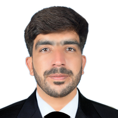 Muhammad Zeeshan Zeeshan