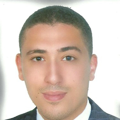 محمد  حسين كامل 