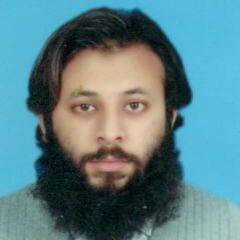 Rameez Rehman, Business Intelligence Systems Analyst