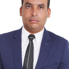 Ali Djebali , Electrical Technician / Foreman