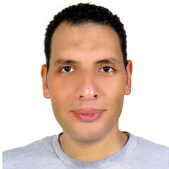 محمد البرعى, IT Manager