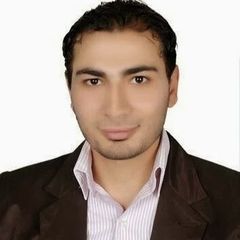 حسام محمد الهواري, محاسب قانوني حر
