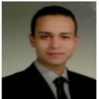 hossam saeed abd elaal ahmed