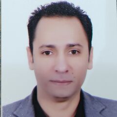 Ahmed Hussein Elsayed turk, مسئول المبيعات