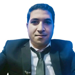Ibrahim Gamal Eldin Ibrahim Mohamed Tag Eldin, محرر صحفي