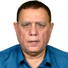 mohamed al shareef, Sr.Business Consultant -ERP