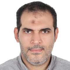 محمد عزالدين محمود على, Accounting Supervisor