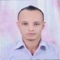 Abd Elrahman Abu Elkhaier Suliman mostafa, Sales Manager