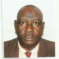 abiodun olowoporoku, Executive Director