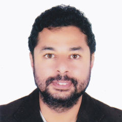 Hany Fathy, Media Director