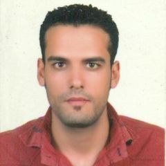 محمود محيى الدين محمد الشربينى, محاسب مخازن