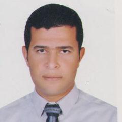 محمد عبدالعزيز على إبراهيم, مهندس مدنى تنفيذ