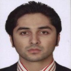 Ali Nazeer Malik, Service Sales