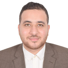 Mohamed Samy Raslan, finance head