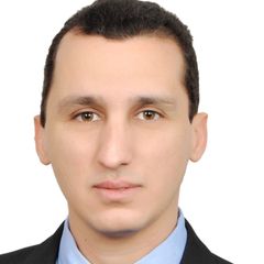 Ibrahim Abouelgheit, Managing Director