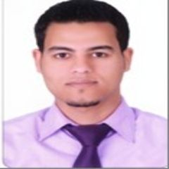 Ayman Ferdenan Ahmed Hussien, Materials Engineer
