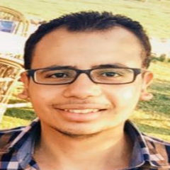 Ahmed Hosny Ahmed  Abdo