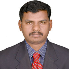 Bothi Raja Pandian, Postdoctoral researcher