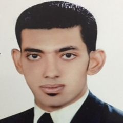 Ahmed El Shazly, Area sales manager