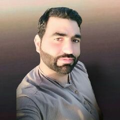 sayed sayed hasnain