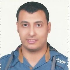 Ahmed Yosry, مدير حسابات