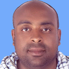 Mohamed Fathalla, محاسب
