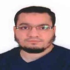 Mostafa El Malt, FINANCE PROFESSIONAL / SAP FICO CONSULTANT