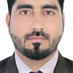 Amjad chaudhry, Civil inspector 