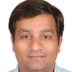Amit Daga, Finance manager