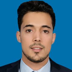 mohamed abdelwahab mokni