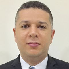Mahmoud Raya, Internal Audit Manager