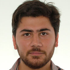 Zafer Selcuk Aygin, PIMS Postoctoral Fellow